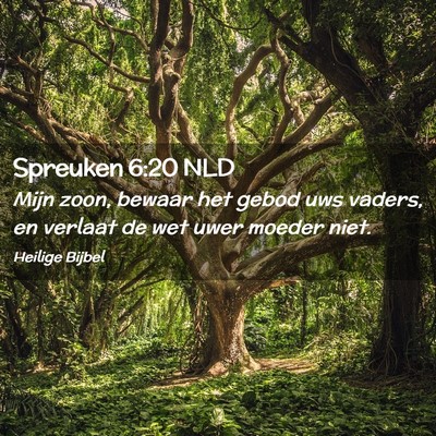 Picture 02 - Spreuken 6:20 NLD - Mijn zoon, bewaar het gebod uws vaders, en - Bible Verse Picture