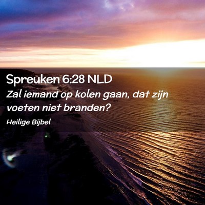 Picture 02 - Spreuken 6:28 NLD - Zal iemand op kolen gaan, dat zijn voeten niet - Bible Verse Picture