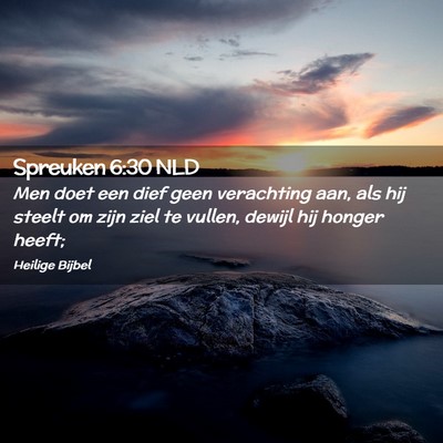 Picture 02 - Spreuken 6:30 NLD - Men doet een dief geen verachting aan, als hij - Bible Verse Picture