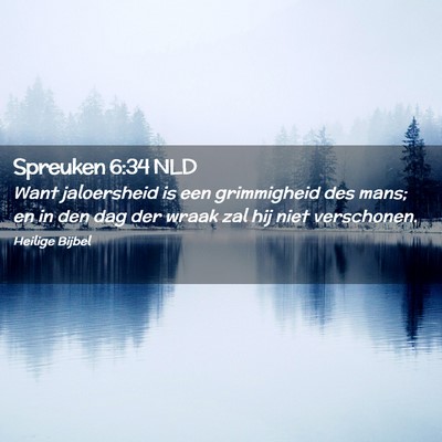 Picture 02 - Spreuken 6:34 NLD - Want jaloersheid is een grimmigheid des mans; en - Bible Verse Picture