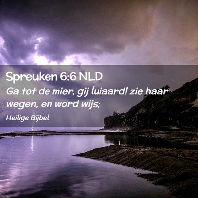 Picture 02 - Spreuken 6:6 NLD - Ga tot de mier, gij luiaard! zie haar wegen, en - Bible Verse Picture
