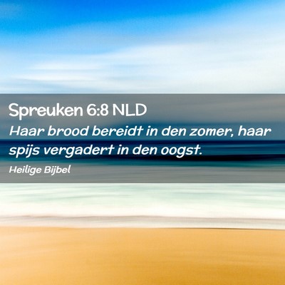 Picture 02 - Spreuken 6:8 NLD - Haar brood bereidt in den zomer, haar spijs - Bible Verse Picture
