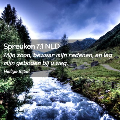 Picture 02 - Spreuken 7:1 NLD - Mijn zoon, bewaar mijn redenen, en leg mijn - Bible Verse Picture