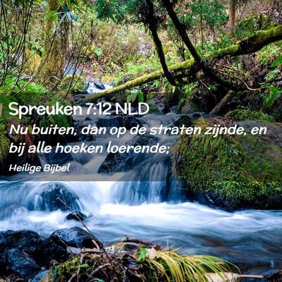 Picture 02 - Spreuken 7:12 NLD - Nu buiten, dan op de straten zijnde, en bij alle - Bible Verse Picture