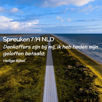 Picture 02 - Spreuken 7:14 NLD - Dankoffers zijn bij mij, ik heb heden mijn - Bible Verse Picture