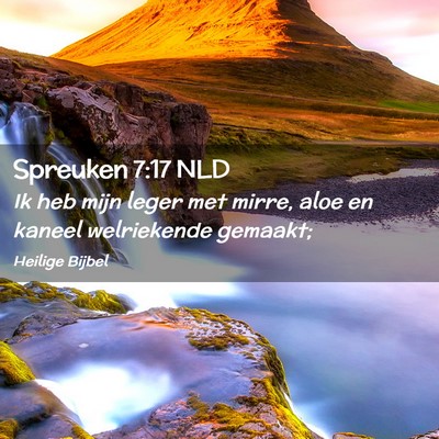 Picture 02 - Spreuken 7:17 NLD - Ik heb mijn leger met mirre, aloe en kaneel - Bible Verse Picture