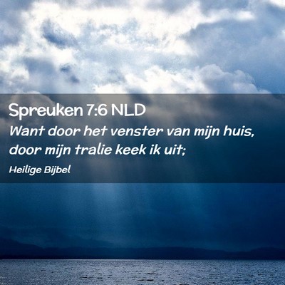 Picture 02 - Spreuken 7:6 NLD - Want door het venster van mijn huis, door mijn - Bible Verse Picture