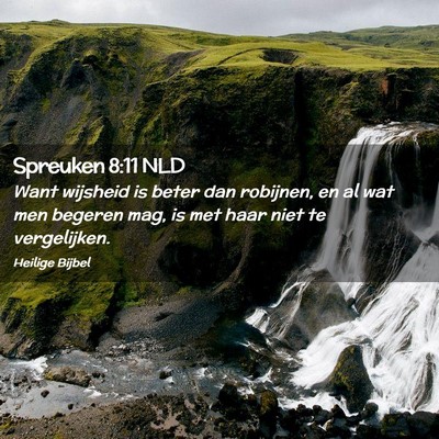Picture 02 - Spreuken 8:11 NLD - Want wijsheid is beter dan robijnen, en al wat - Bible Verse Picture