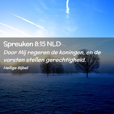 Picture 02 - Spreuken 8:15 NLD - Door Mij regeren de koningen, en de vorsten - Bible Verse Picture