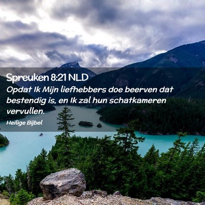 Picture 02 - Spreuken 8:21 NLD - Opdat Ik Mijn liefhebbers doe beerven dat - Bible Verse Picture