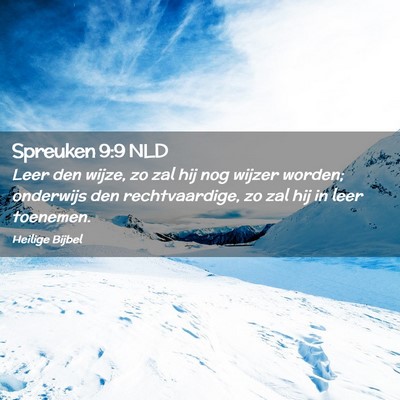 Picture 02 - Spreuken 9:9 NLD - Leer den wijze, zo zal hij nog wijzer worden; - Bible Verse Picture