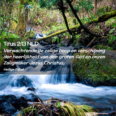 Picture 02 - Titus 2:13 NLD - Verwachtende de zalige hoop en verschijning der - Bible Verse Picture