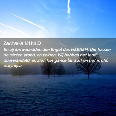 Picture 02 - Zacharia 1:11 NLD - En zij antwoordden den Engel des HEEREN, Die - Bible Verse Picture