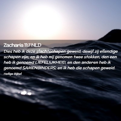Picture 02 - Zacharia 11:7 NLD - Dies heb ik deze slachtschapen geweid, dewijl zij - Bible Verse Picture