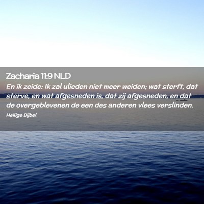 Picture 02 - Zacharia 11:9 NLD - En ik zeide: Ik zal ulieden niet meer weiden; wat - Bible Verse Picture