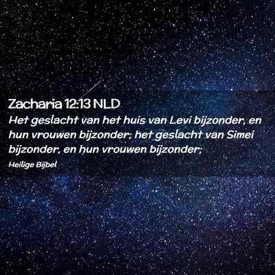 Picture 02 - Zacharia 12:13 NLD - Het geslacht van het huis van Levi bijzonder, en - Bible Verse Picture