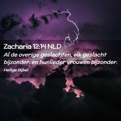 Picture 02 - Zacharia 12:14 NLD - Al de overige geslachten, elk geslacht bijzonder, - Bible Verse Picture