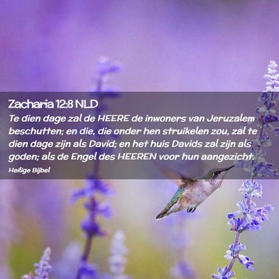 Picture 02 - Zacharia 12:8 NLD - Te dien dage zal de HEERE de inwoners van - Bible Verse Picture
