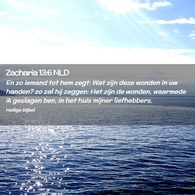 Picture 02 - Zacharia 13:6 NLD - En zo iemand tot hem zegt: Wat zijn deze wonden - Bible Verse Picture