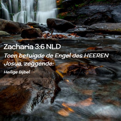 Picture 02 - Zacharia 3:6 NLD - Toen betuigde de Engel des HEEREN Josua, - Bible Verse Picture