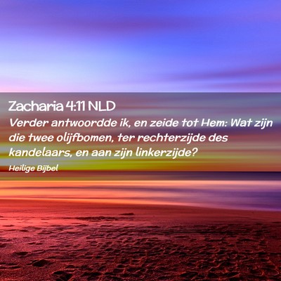 Picture 02 - Zacharia 4:11 NLD - Verder antwoordde ik, en zeide tot Hem: Wat zijn - Bible Verse Picture