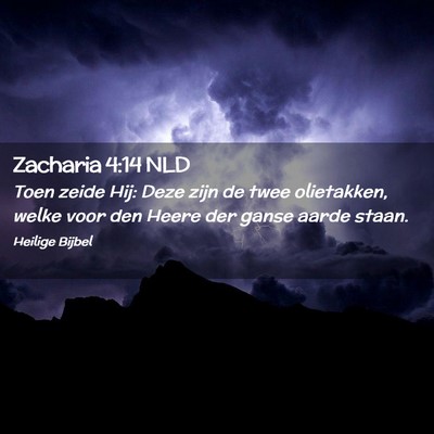 Picture 02 - Zacharia 4:14 NLD - Toen zeide Hij: Deze zijn de twee olietakken, - Bible Verse Picture
