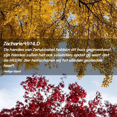 Picture 02 - Zacharia 4:9 NLD - De handen van Zerubbabel hebben dit huis - Bible Verse Picture