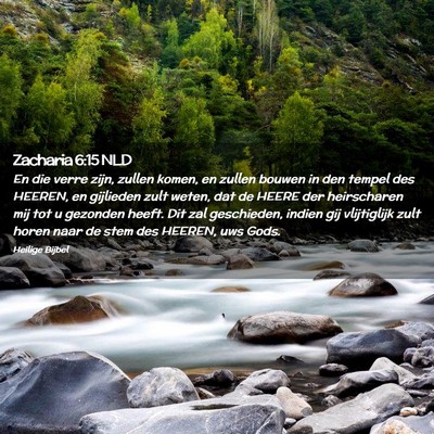 Picture 02 - Zacharia 6:15 NLD - En die verre zijn, zullen komen, en zullen bouwen - Bible Verse Picture