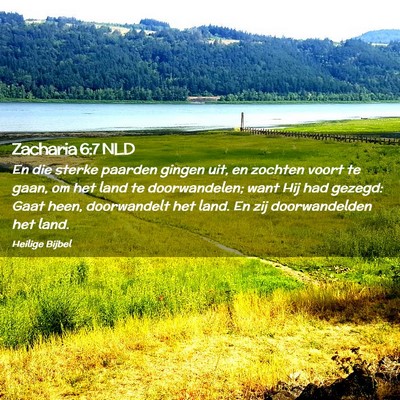 Picture 02 - Zacharia 6:7 NLD - En die sterke paarden gingen uit, en zochten - Bible Verse Picture