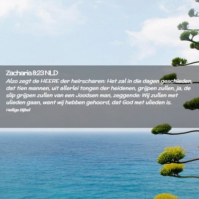Picture 02 - Zacharia 8:23 NLD - Alzo zegt de HEERE der heirscharen: Het zal in - Bible Verse Picture