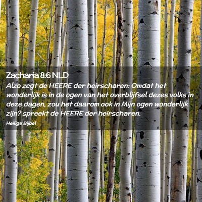 Picture 02 - Zacharia 8:6 NLD - Alzo zegt de HEERE der heirscharen: Omdat het - Bible Verse Picture