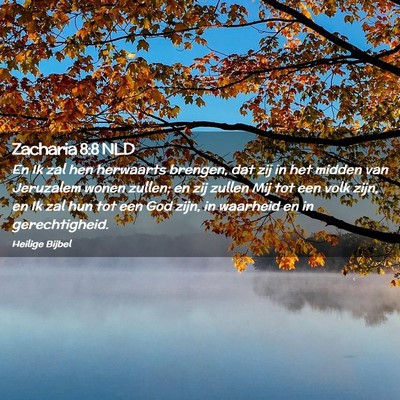 Picture 02 - Zacharia 8:8 NLD - En Ik zal hen herwaarts brengen, dat zij in het - Bible Verse Picture