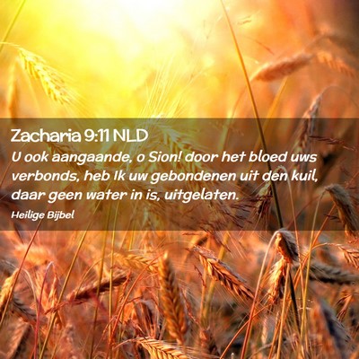 Picture 02 - Zacharia 9:11 NLD - U ook aangaande, o Sion! door het bloed uws - Bible Verse Picture