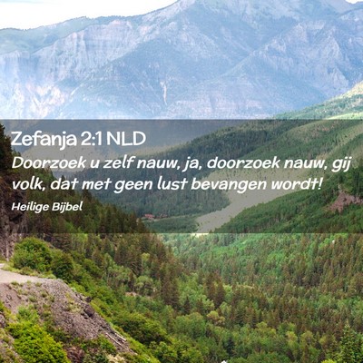 Picture 02 - Zefanja 2:1 NLD - Doorzoek u zelf nauw, ja, doorzoek nauw, gij - Bible Verse Picture