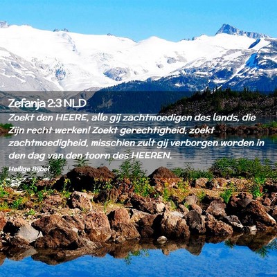 Picture 02 - Zefanja 2:3 NLD - Zoekt den HEERE, alle gij zachtmoedigen des - Bible Verse Picture