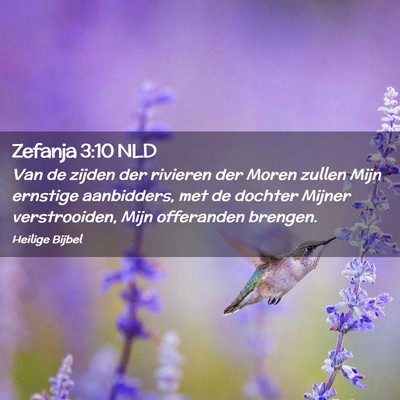 Picture 02 - Zefanja 3:10 NLD - Van de zijden der rivieren der Moren zullen Mijn - Bible Verse Picture