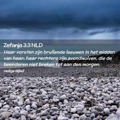 Picture 02 - Zefanja 3:3 NLD - Haar vorsten zijn brullende leeuwen in het midden - Bible Verse Picture