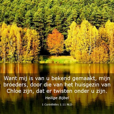 Picture 03 - 1 Corinthiërs 1:11 NLD - Want mij is van u bekend gemaakt, mijn broeders, - Bible Verse Picture