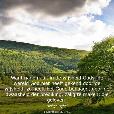 Picture 03 - 1 Corinthiërs 1:21 NLD - Want nademaal, in de wijsheid Gods, de wereld God - Bible Verse Picture