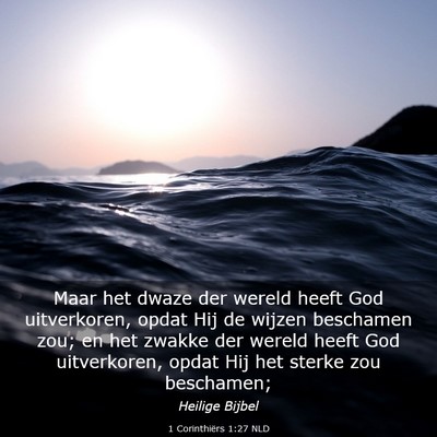 Picture 03 - 1 Corinthiërs 1:27 NLD - Maar het dwaze der wereld heeft God uitverkoren, - Bible Verse Picture