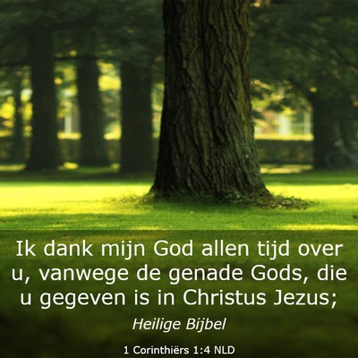 Picture 03 - 1 Corinthiërs 1:4 NLD - Ik dank mijn God allen tijd over u, vanwege de - Bible Verse Picture