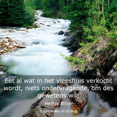 Picture 03 - 1 Corinthiërs 10:25 NLD - Eet al wat in het vleeshuis verkocht wordt, niets - Bible Verse Picture