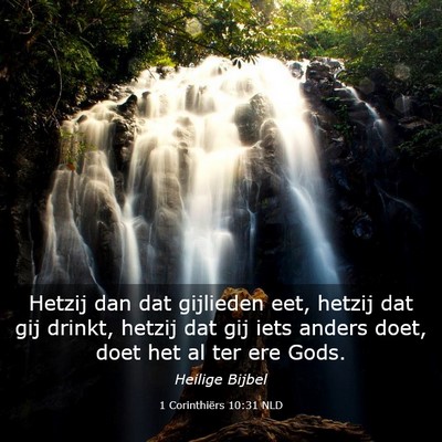 Picture 03 - 1 Corinthiërs 10:31 NLD - Hetzij dan dat gijlieden eet, hetzij dat gij - Bible Verse Picture