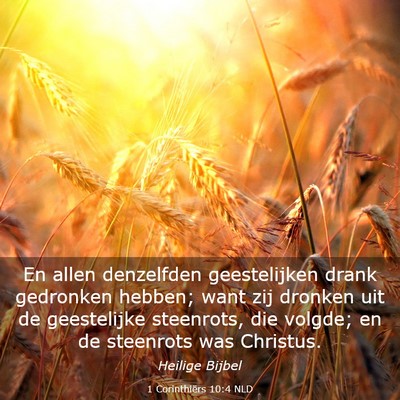 Picture 03 - 1 Corinthiërs 10:4 NLD - En allen denzelfden geestelijken drank gedronken - Bible Verse Picture