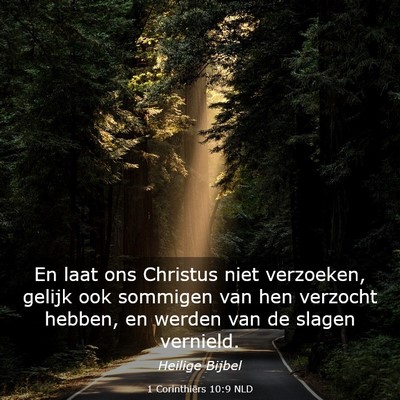 Picture 03 - 1 Corinthiërs 10:9 NLD - En laat ons Christus niet verzoeken, gelijk ook - Bible Verse Picture