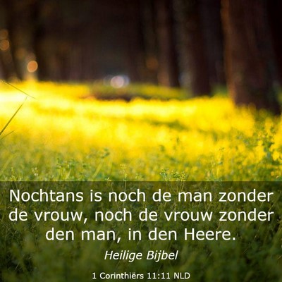 Picture 03 - 1 Corinthiërs 11:11 NLD - Nochtans is noch de man zonder de vrouw, noch de - Bible Verse Picture