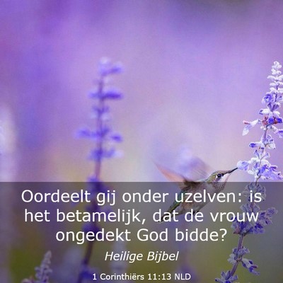 Picture 03 - 1 Corinthiërs 11:13 NLD - Oordeelt gij onder uzelven: is het betamelijk, - Bible Verse Picture