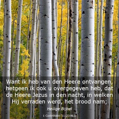 Picture 03 - 1 Corinthiërs 11:23 NLD - Want ik heb van den Heere ontvangen, hetgeen ik - Bible Verse Picture
