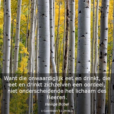 Picture 03 - 1 Corinthiërs 11:29 NLD - Want die onwaardiglijk eet en drinkt, die eet en - Bible Verse Picture