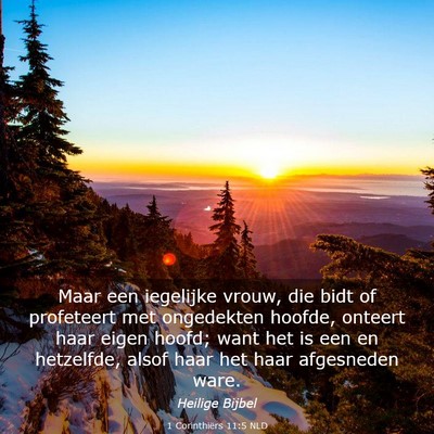 Picture 03 - 1 Corinthiërs 11:5 NLD - Maar een iegelijke vrouw, die bidt of profeteert - Bible Verse Picture